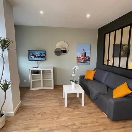 Apartment Climatisation, Ascenseur R5 Sublime T2 Neuf Toulouse
