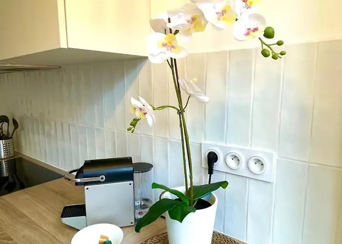 Climatisation, Ascenseur R5 Sublime T2 Neuf Appartement *