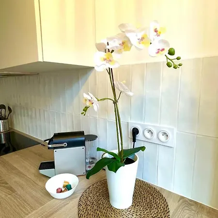 Climatisation, Ascenseur R5 Sublime T2 Neuf 아파트 *